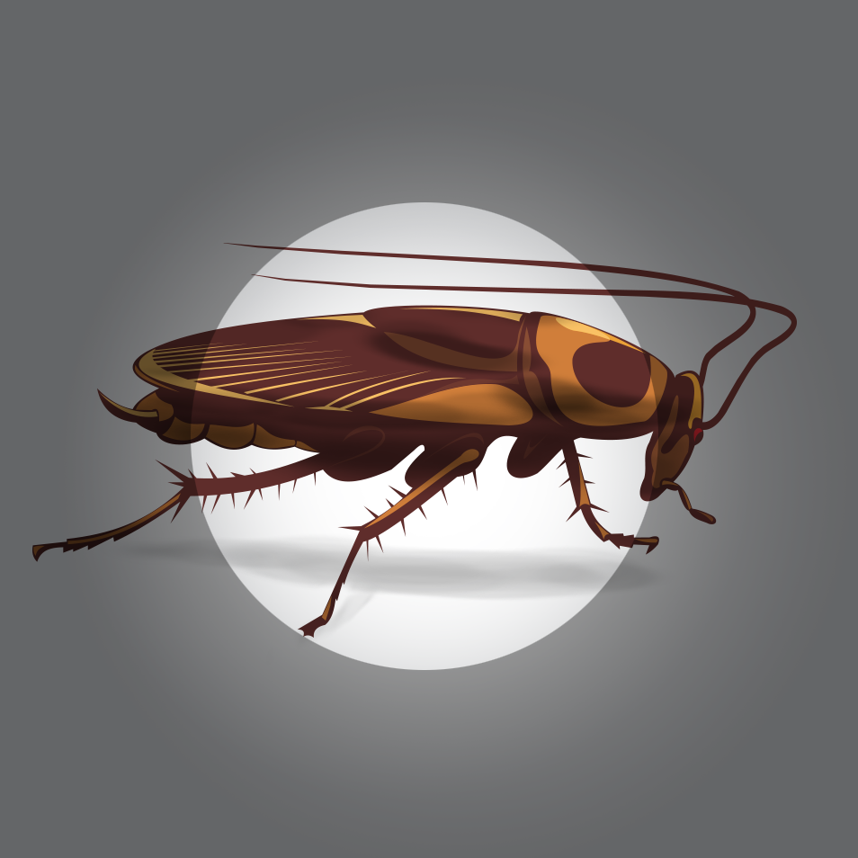 Mice, ants, spiders, dry food pests, fleas, roaches