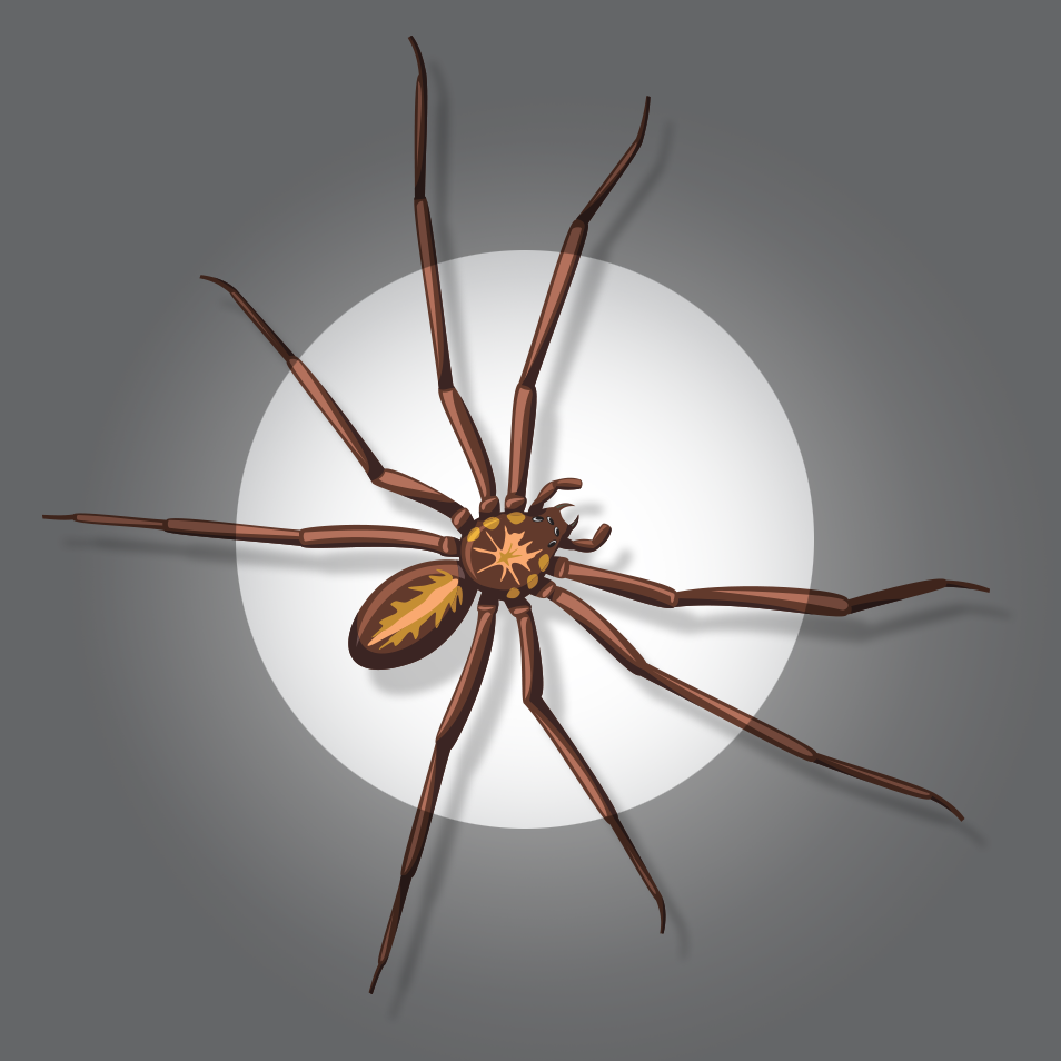 Interior and Exterior Services