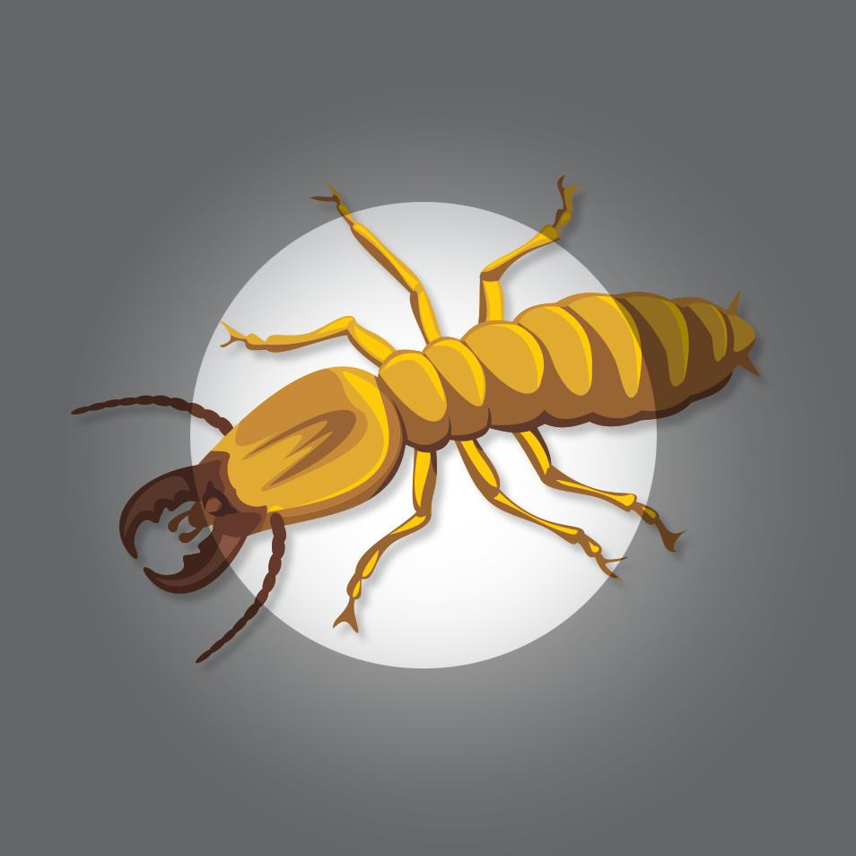 Termites and Other Wood Destroying Organisms