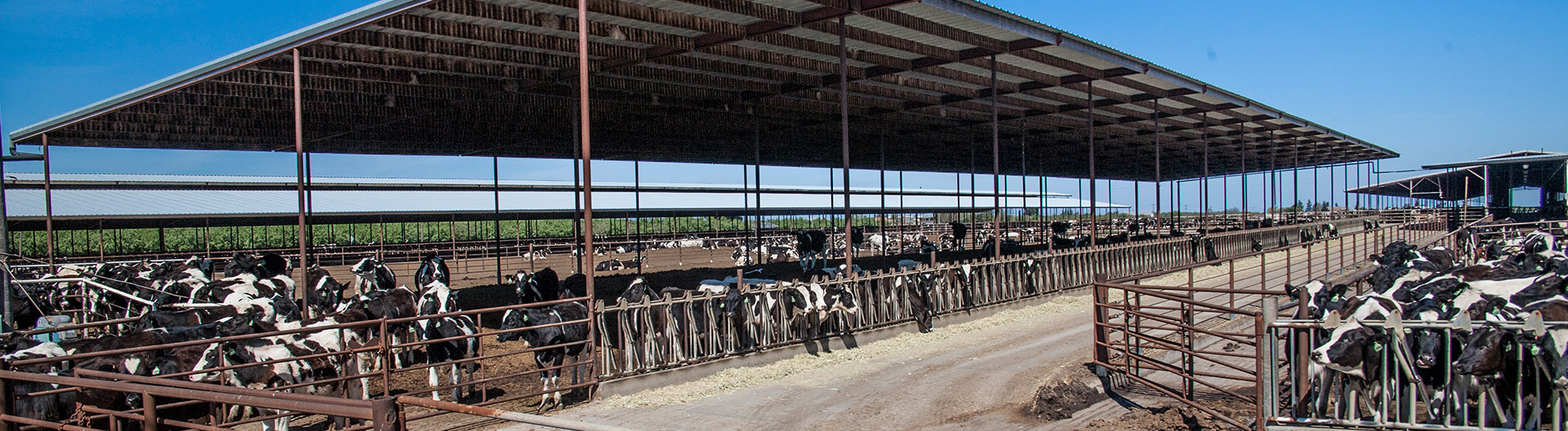 Pest Control Services for Dairy Farms