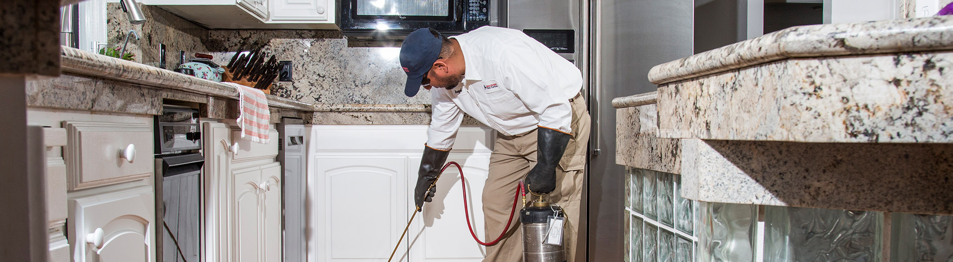 budget-friendly pest management solutions in Brentwood